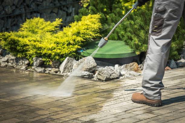 Best Dumpster Area Cleaning  in Clarks Summit, PA